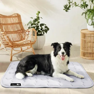 Immagine prodotto di Koelmat per animali domestici - Cuscino estivo per gatti - Offre comfort - Doppio effetto - 51 x 77 cm - Grigio chiaro