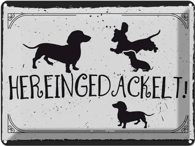 Produktbild von vianmo Blechschild 30x40 cm Hereingedackelt! Dekoration