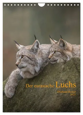 Produktbild von Der eurasische Luchs (Wandkalender 2027 DIN A4 hoch), CALVENDO Monatskalender