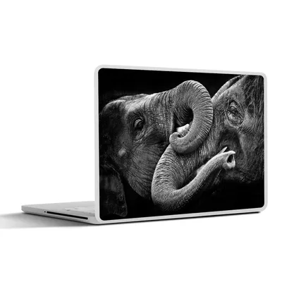 Produktbild von MuchoWow® Laptop Aufkleber Sticker Cover Elefant - Tier - Rüssel 30x22 cm - Laptop-Sticker