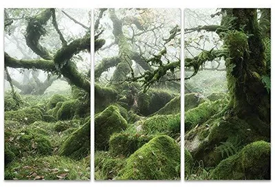 Leinwanddruck 100x150 cm, Triptychon, Landschaftsmotiv