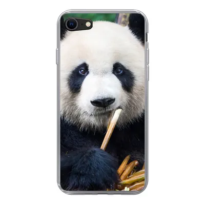 Produktbild von MuchoWow® Handyhülle Schutzhülle Hülle für iPhone SE 2020 Panda - Bambus - Natur Silikon Softcase Handy Hülle - Kartenbesitzer