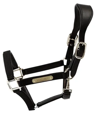 Produktbild von Kentucky Horsewear Halfter Nylon Anatomisch Stallhalfter Schwarz Full