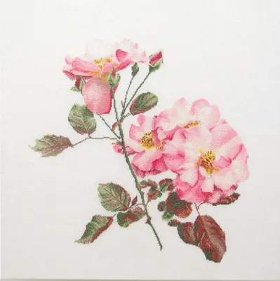 Zdjęcie produktu dla Zestaw do haftu krzyżykowego Thea Gouverneur "Tkanina do liczenia Rosa Leersum", wzór do liczenia, 44x44cm