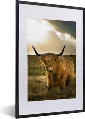 Produktbild von MuchoWow® Gerahmtes Poster Schottischer Hochländer - Sonne - Tiere 40x60 cm - Poster mit Schwarzem Bilderrahmen Wandposter Rahmen Foto Bilder - Poster in Rahmen
