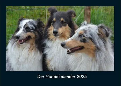 Produktbild von Der Hundekalender 2025 Fotokalender DIN A4