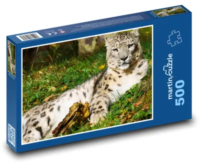 Zdjęcie produktu dla Puzzle 500 Lampart w naturze - martinpuzzle