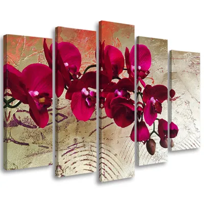Produktbild von 5-teiliges leinwandbild orchideenblüten rosa 150x100 cm Feeby rot wandbild bereit zum aufhängen