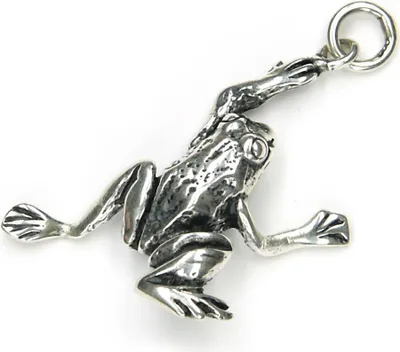 Produktbild von Kettenanhänger Frosch 925 Silber Oxidiert 3,5cm Anhänger Symbol Amulett 7476