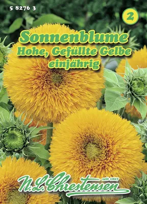 Produktbild von Sonnenblume Hohe Gefüllte Gelbe | Sonnenblumensamen von N.L. Chrestensen