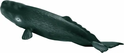 Obrázek produktu pro schleich 16095, 3 rok/roky, Plast
