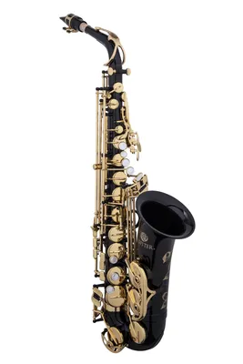Produktbild von Jupiter JAS1100GOQ Altsaxophon