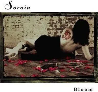 Produktbild von Bloom