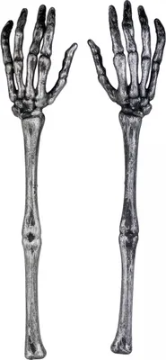 Produktbild von Silbernes Skeletthand-Vorlegset 2-teilig für Halloween