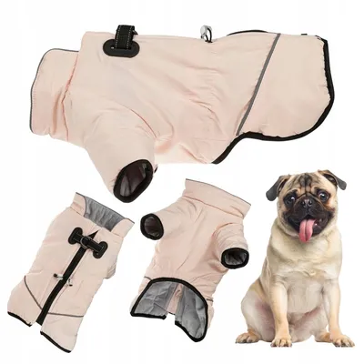 Produktbild von Warmer Wintermantel mit reflektierendem Leinenhalter XL