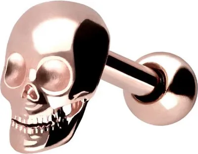 Produktbild von Ohrpiercing Chirurgenstahl Ohrpiercing TOTENKOPF