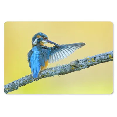 Produktbild von MuchoWow® Mauspad Mousepad Eisvogel - Zweig - Blau 27x18 cm - Mousepads - Maus Mat - Pad - Mausunterlage - Büroartikel - Desk Matten