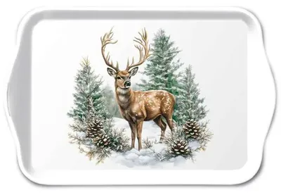 Produktbild von Ambiente Tablett – Winter stag