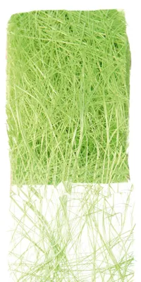 Produktbild von Dekoband ABACA, Pflanzenfaser-Band, Raffia/Sisal 7cm/5m Grün