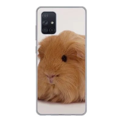 Produktbild von MuchoWow® Handyhülle Schutzhülle Hülle für Samsung Galaxy A51 Sheltie-Meerschweinchen Silikon Softcase Handy Hülle - Schutzabdeckung