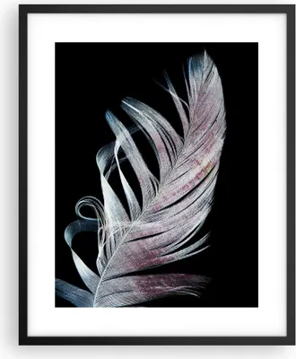 Produktbild von Gerahmtes Poster - Schwarzer Rahmen - Feder die Farben Zartheit - 40x50 cm - Wand Bild - Wanddeko - Wandbilder - Kunstposter - Wandposter - Bilderrahmen - Bilder - Kunstdruck - P2BPA40x50-4959