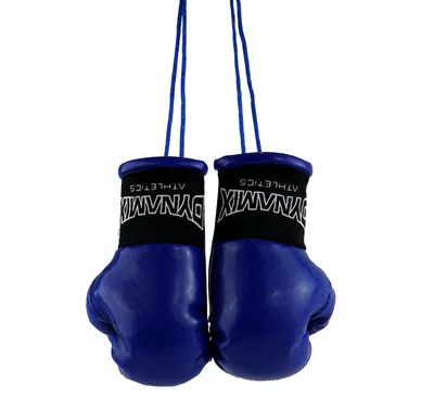 Produktbild von Dynamix Athletics Autospiegel Mini Boxhandschuhe Carbonix(Blau)