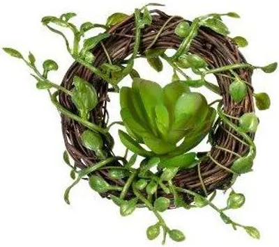 Produktbild von artplants.de Deko Kranz Mühlenbeckia MEVRO, 2 Stück, Sukkulente, grün, Ø8cm - Künstlicher Kranz