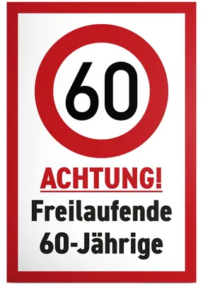 Sprücheschild 60. Geburtstag – 30 x 20 cm – lustige Dekoration
