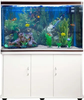 Produktbild von Monstershop Aquarium Starter Komplettset Aquarium mit passendem Unterschrank inklusive Kies Weiß Aquarium Hintergrund 143.5cm H x 120.5cm B x 39cm T
