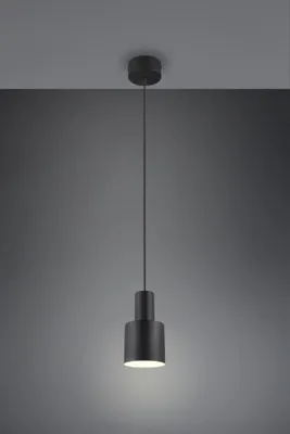 Produktbild von Trio - Hängelampe AGUDO - Schwarz - 12x12x150 cm