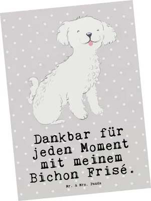 Produktbild von Mr. & Mrs. Panda bildkarte Bichon Frisé Moment - Grau Pastell - Geschenk, Postkarte, Postkarten, Kunstkarten, Grußkarte, Ansichtskarte