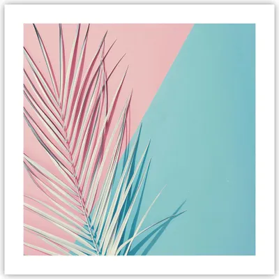 Produktbild von Poster - Poster ohne Rahmen - Blatt Rosa Türkis - 50x50 cm - Wand Bild - Wanddeko - Wandbilder - Kunstposter - Wandposter - Bilder - Kunstdruck - Wanddekoration - Wandbild - P2XAC50x50-4421