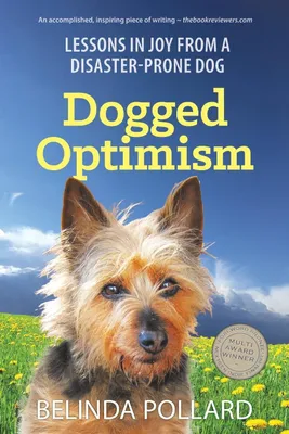 Produktbild von Dogged Optimism