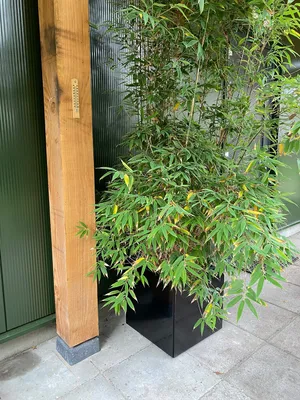 Produktbild von Pflanzkübel - Blumenkübel Schwarz verzinkter Stahl 40 x 40 x 40 cm - Pro Stück