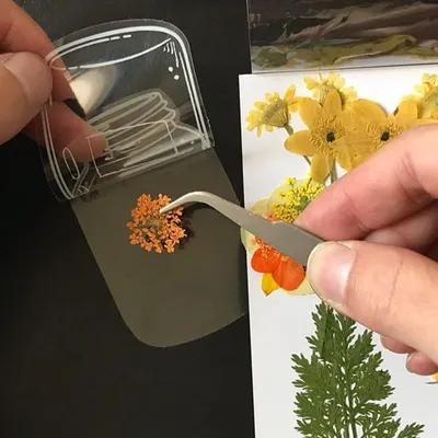 Zdjęcie produktu dla 30Pcs Przezroczyste zakładki z suszonych kwiatów Domowe zakładki z pięknych kwiatów DIY Zakładki z suszonych kwiatów Naklejki na szkło