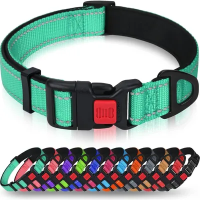 Immagine prodotto di Collare per cani, neoprene e nylon, regolabile, riflettente, color turchese, taglia L (40-60 cm)