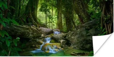 Produktbild von MuchoWow® Poster Dschungel - Steine - Wasser - Natur - Pflanzen 160x80 cm - Foto Poster