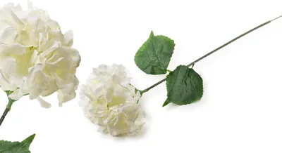 Obrázek produktu pro Umělá květina VIRIDIS HORTENSIA 73 cm bílá