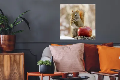 Produktbild von MuchoWow® Poster Eichhörnchen - Apfel - Blumensamen - Schnee 50x50 cm - Wohnzimmerdekoration