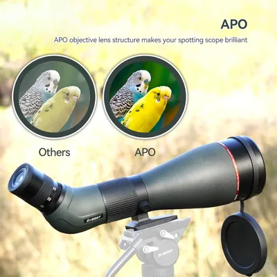 Produktbild von Fernglas für die Vogelbeobachtung - Spektiv - Zoomobjektiv für die digitale Beobachtung - Vergrößerung 25-75x