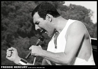 Obrázek produktu pro Freddie Mercury – Irsko, 1986 – Plakát – 59x84 cm