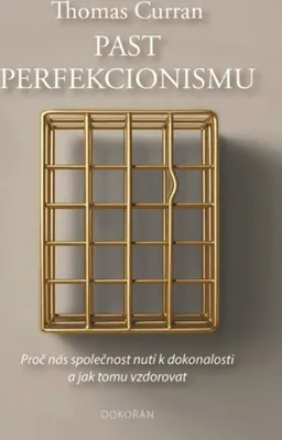 Immagine prodotto di Past perfekcionismu