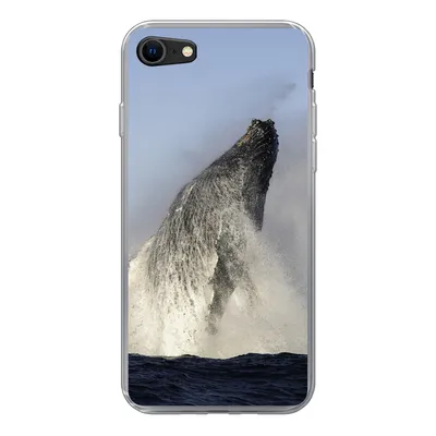 Produktbild von MuchoWow® Handyhülle Schutzhülle Hülle für iPhone SE 2020 Wal - Wasser - Südafrika Silikon Softcase Handy Hülle - Kartenbesitzer
