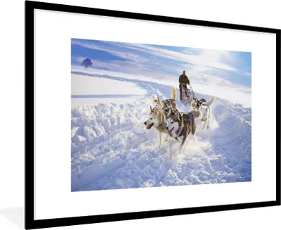 Produktbild von MuchoWow® Gerahmtes Poster Huskys für Hundeschlitten 90x60 cm - Poster mit Schwarzem Bilderrahmen Wandposter Rahmen Foto Bilder - Wanddekoration - Fotos