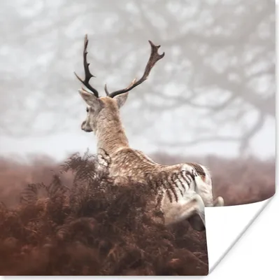 Produktbild von MuchoWow® Poster Rehe - Nebel - Pflanzen 100x100 cm - Babyzimmer