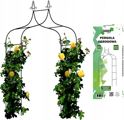 Immagine prodotto di PERG-N6078 arco da giardino in metallo per rose fiori rami 240cm