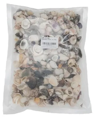 Muschelmix Small mit kleinen Muscheln und Schneckenhäusern im Beutel