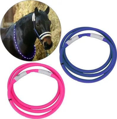 Produktbild von USG LED-Leuchthalsring für Pferde, Farbe:pink