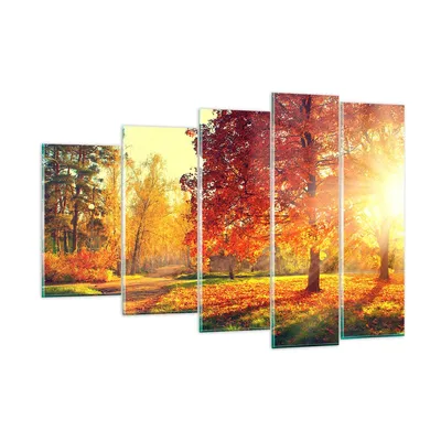 Produktbild von Bilder auf glas - Park Herbst Baum - 150x100cm - Glasbilder - Wandbilder - Kunstdruck - zum Aufhängen bereit - Wanddekoration aus Glas - Glas Bilder - Wandbild auf Glas - 5 Teile - GEG150x100-3654