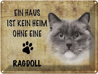 Produktbild von vianmo Blechschild 30x40 cm Ragdoll Katze ohne kein Heim
